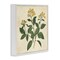 Stupell Industries Yellow Bushels Botanical Illustration Framed Giclee, design by Petal Prints Design